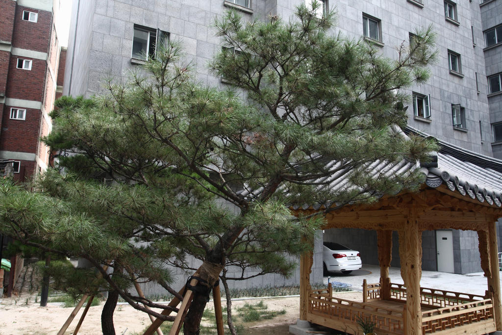 Fortune Hostel Jongno Seoul Bagian luar foto
